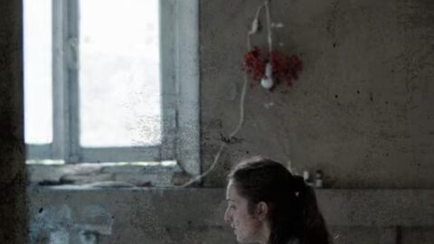 The House on Finn Street