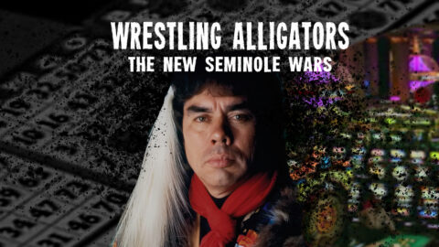 Wrestling Alligators